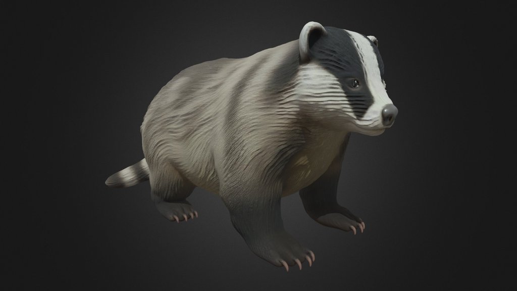 Stout Badger Standing Realistic
