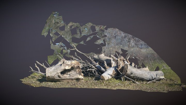 My magnificent 3D reconstruction 3D Model