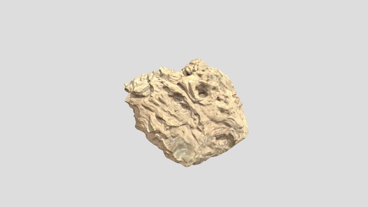 Jurassic Petrified Wood 3D Model
