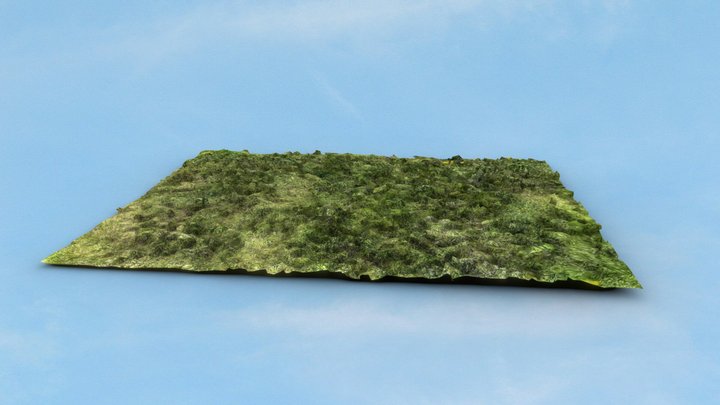 Grass low poly 3d scan 3D Model
