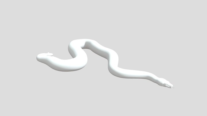Anaconda 3D Model