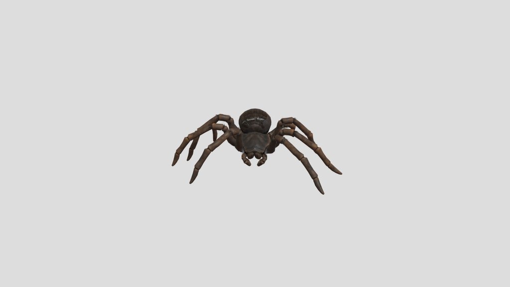 hi-fi-spider
