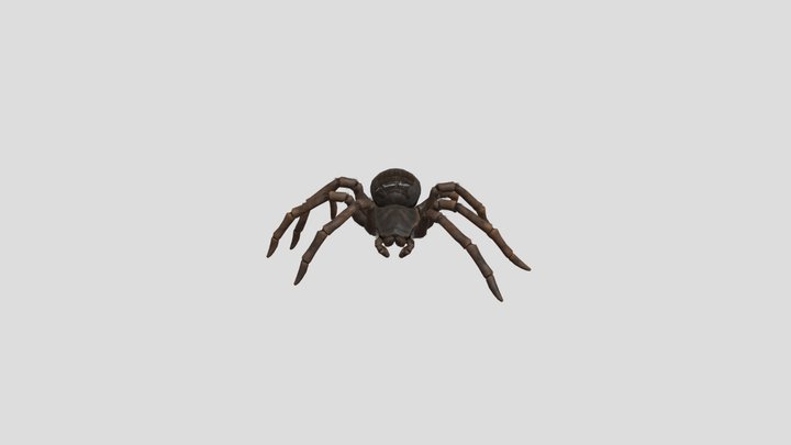 hi-fi-spider 3D Model
