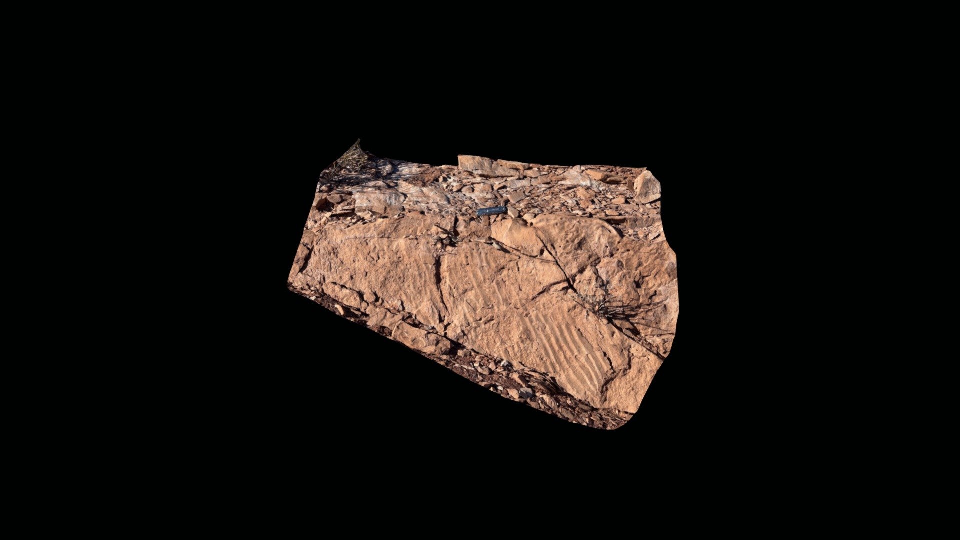 Ripple marks and fracture slickenside
