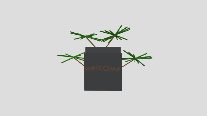 welcome 3D Model