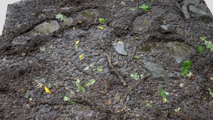 Mud Surface Scan – Modello 3D gratuito STL