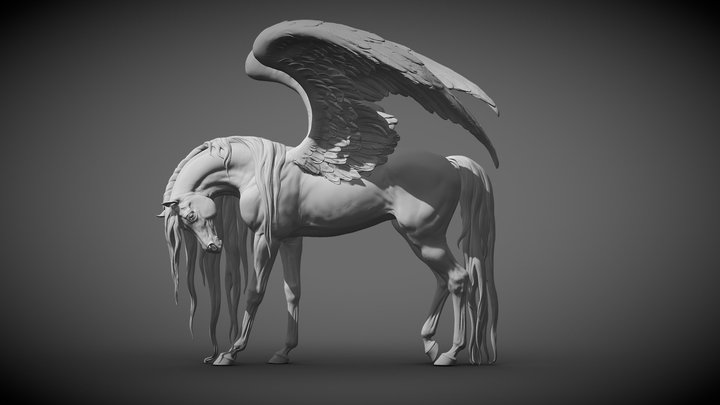 Pegasus  |  3D Sculpting 3D Model