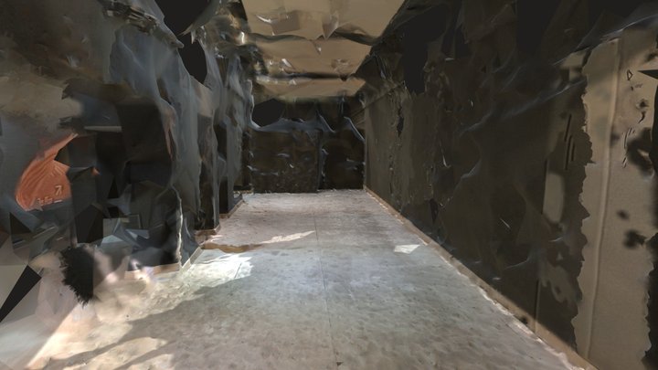 Malla_con_textura_1 3D Model