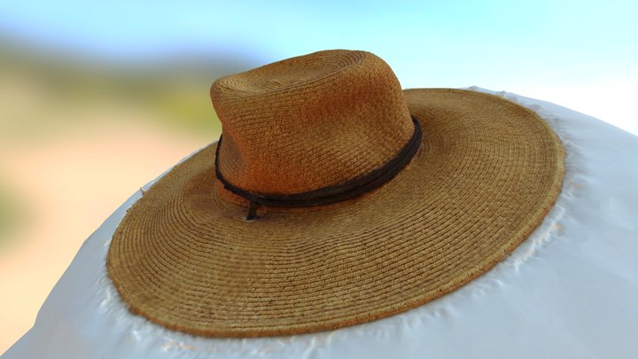 Sun Hat Model 3D Model