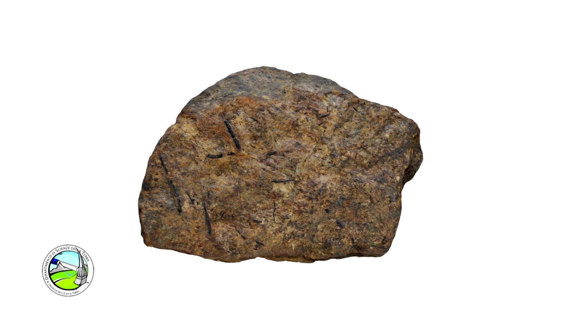 MR15 - Micascisto muscovitico a St ± Grt - 3D model by Dipartimento di ...