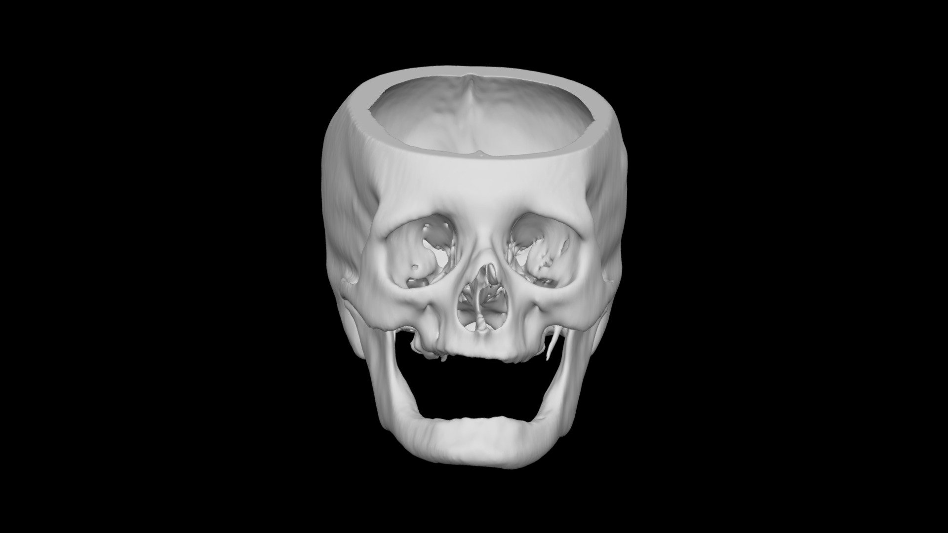 Skull Female 65yo