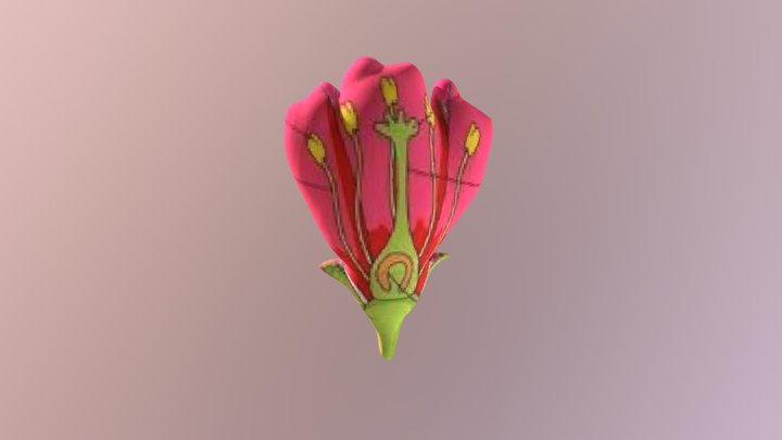 Bagian Bunga 3D Model