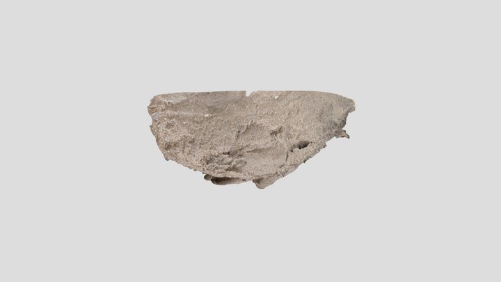 Hand print in sandhole 3D Model