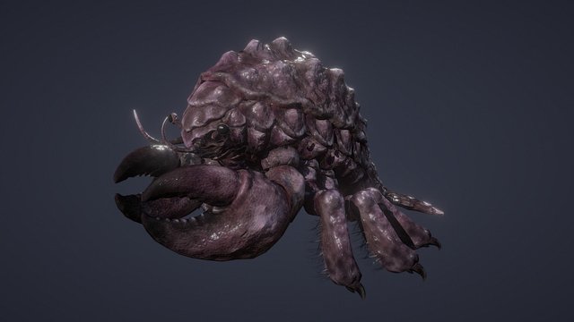 Crak 3D Model