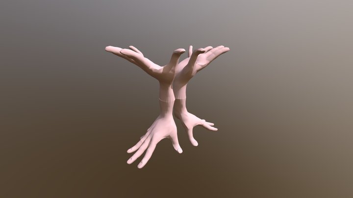 4hands Stand 3D Model