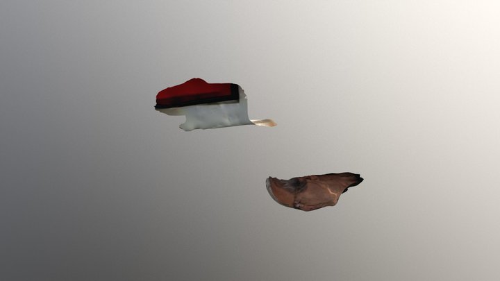 Dany 3D Model