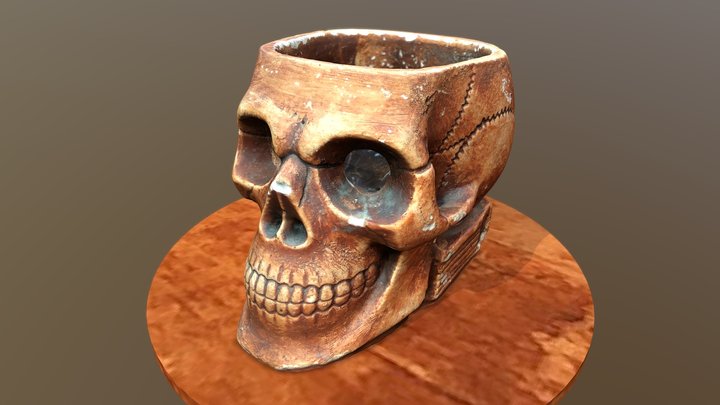 Skull souvenir - 3D Photoscan 3D Model