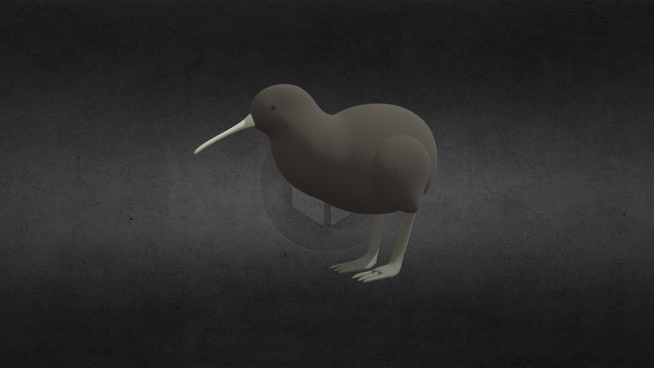 TekuTeku : Fishing Adventure - Kiwi 3D Model
