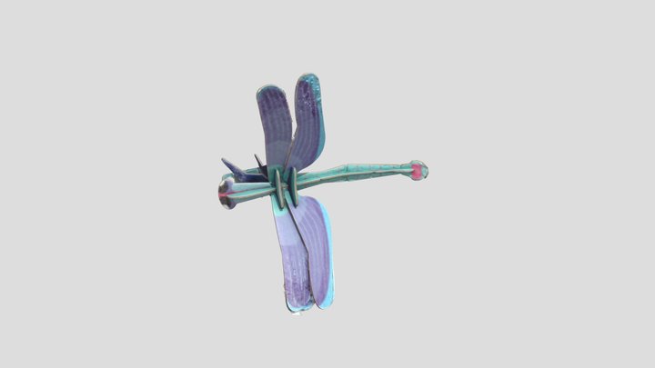 Dragonfly 3D Model