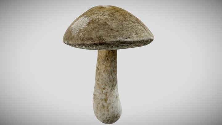 Realistic mushroom 3D Model