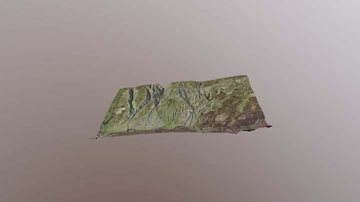 03 Pike Law 3D Model