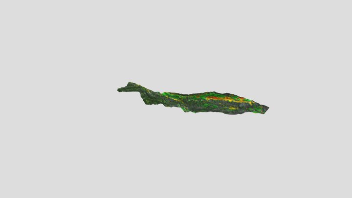 Safien_ Test1 3D Model