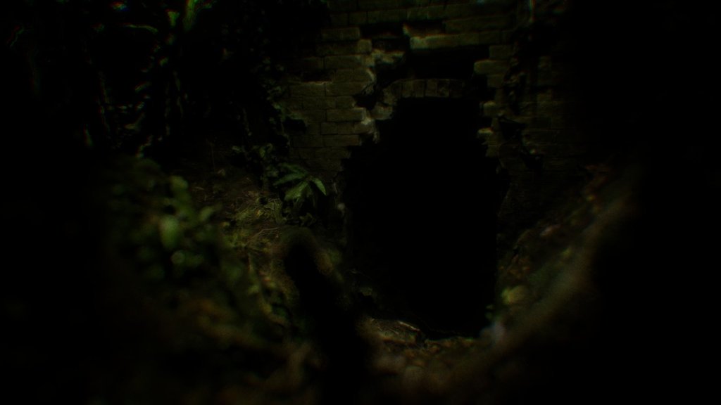 Opening in wooded cave
