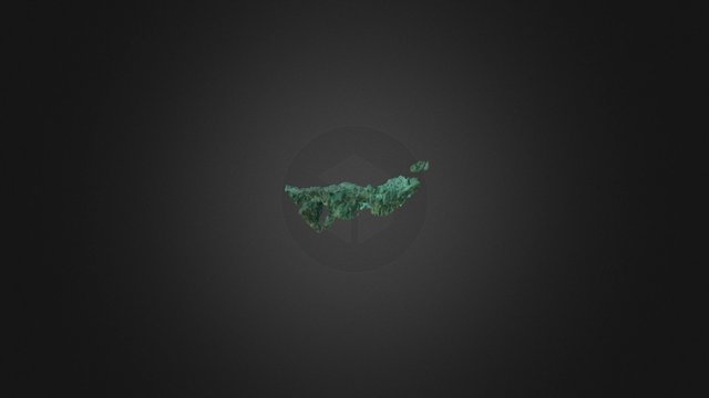 Cleanerfish_territory 3D Model