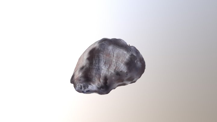 test 3D Model