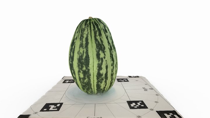 Melon ウリ Reality Scan Video mode