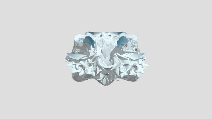 My model 3D Model