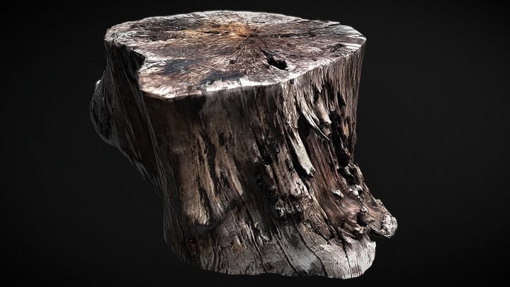 Trunk_0001 3D Model