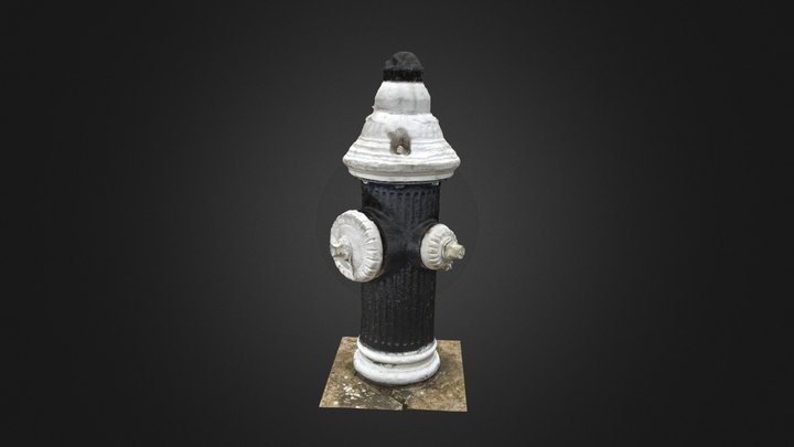 Fire Hydrant - 50th St & 30th Ave #3DST50 3D Model