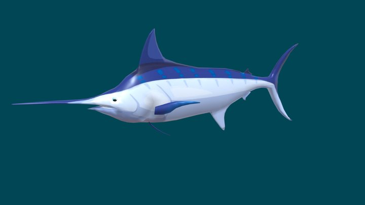 Bluefish : 3 348 images, photos de stock, objets 3D et images vectorielles