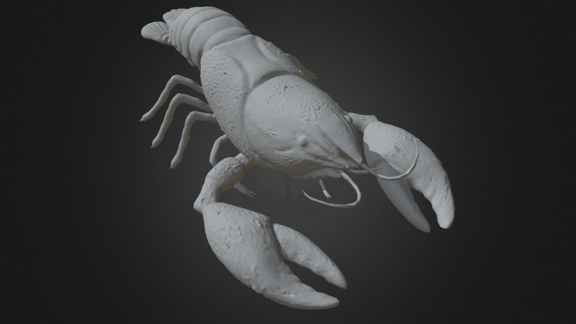 day11