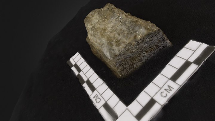 Schist 3D Model