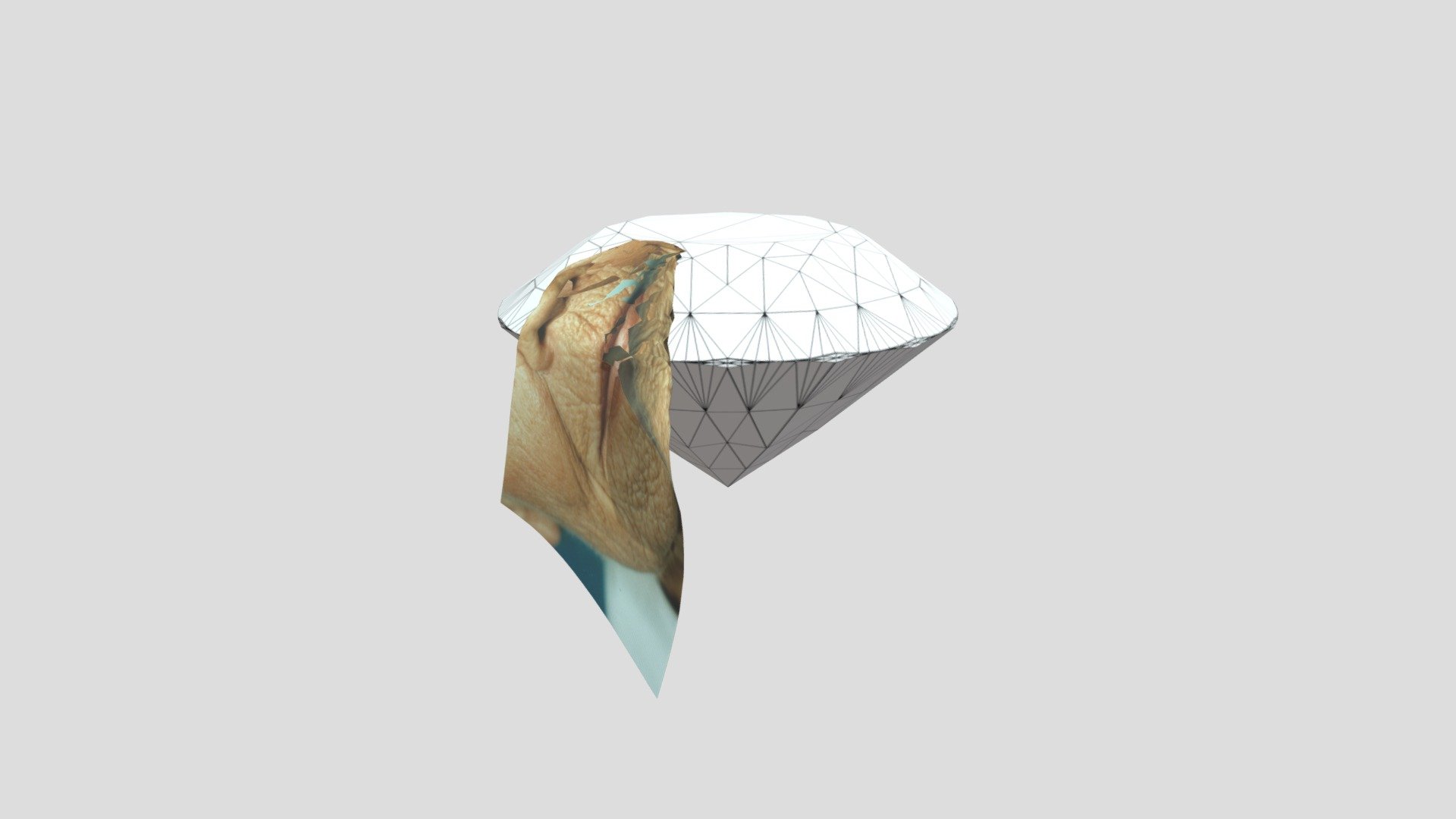 Sculpture20191205000059