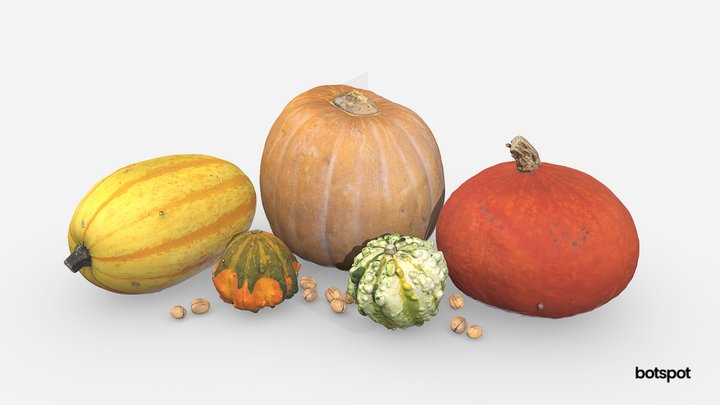 Pumpkin, squash and gourds collection 3D Model