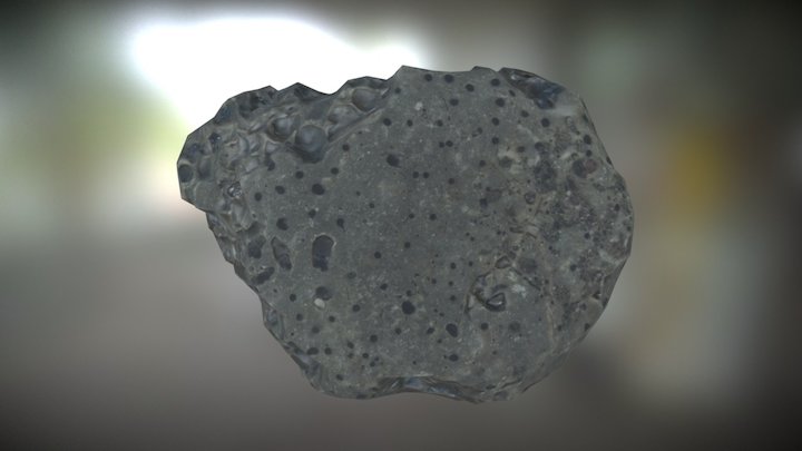 Beach Rock 7 from Photogrammetry 3D Model