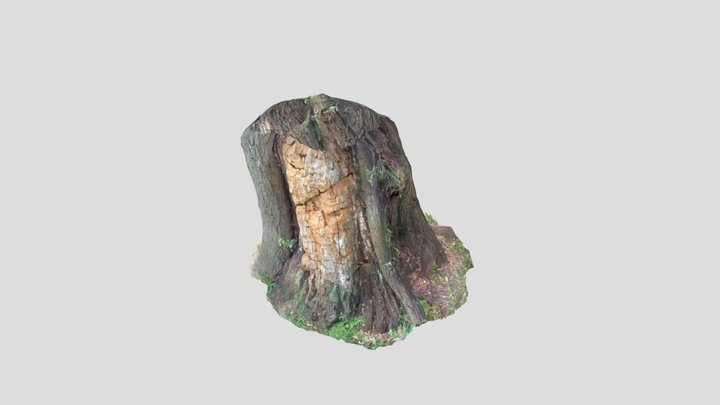 Tree two 3D Model