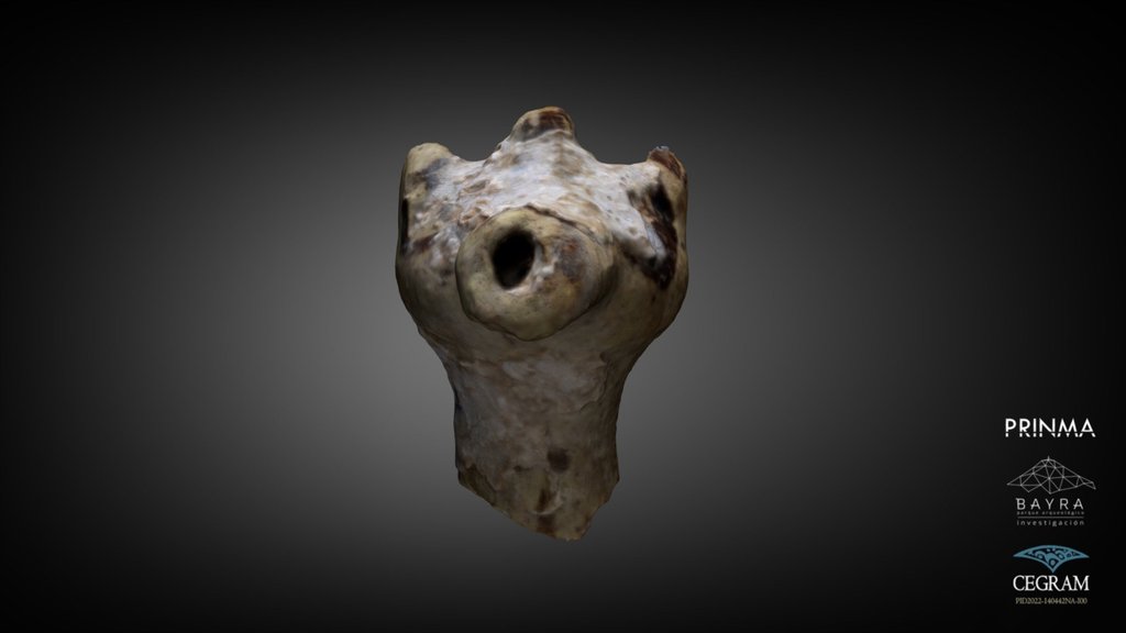 Figura Zoomorfa