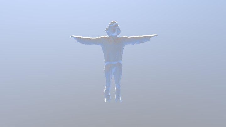 Herman Kinect2 3D Model
