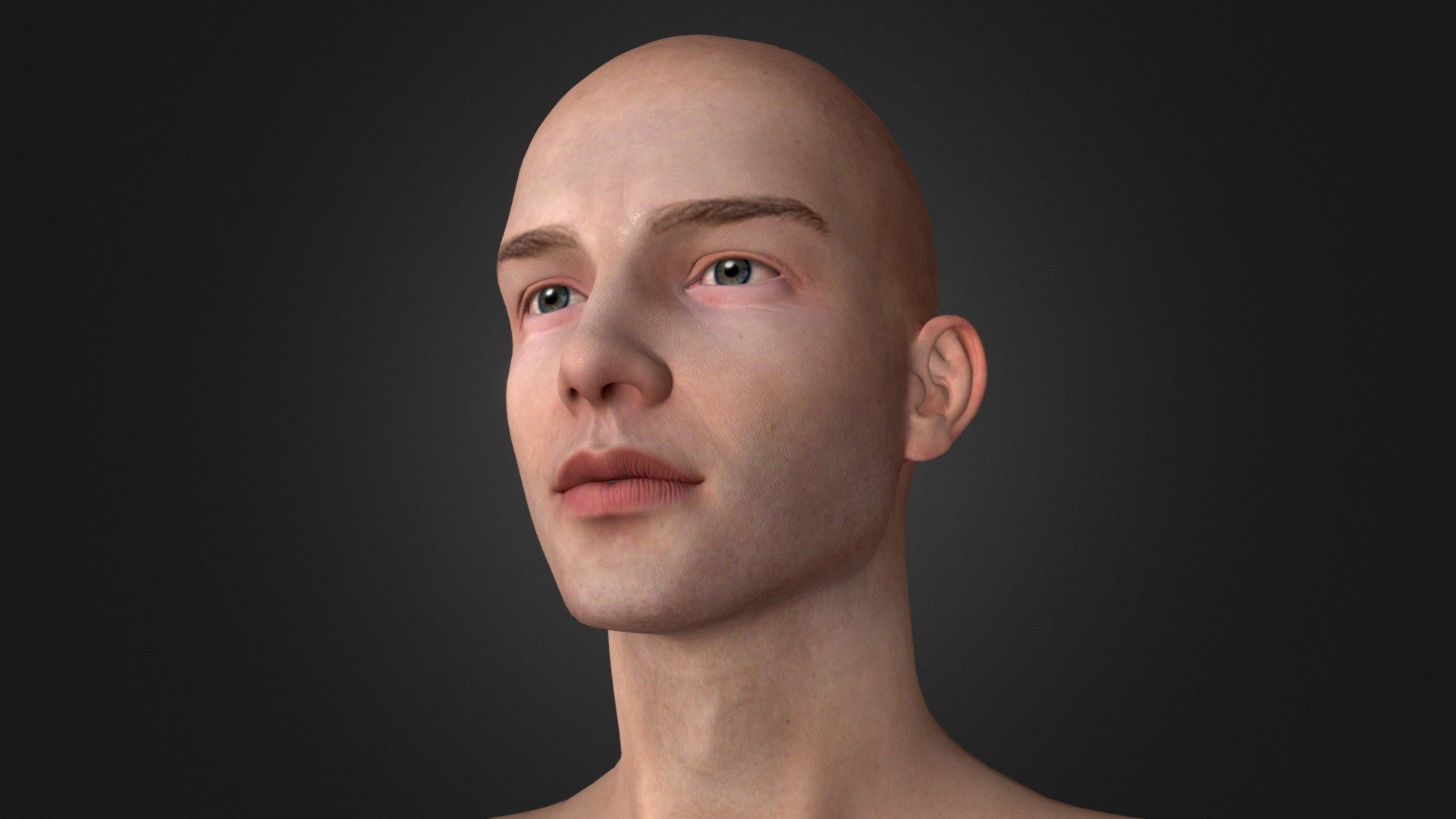 Face 3D model by 2on (2on) [ffde29c] Sketchfab