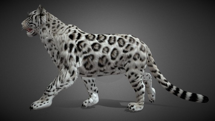 Tiger Hybrid_A2 3D Model