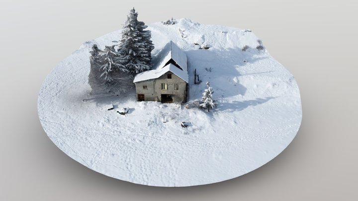Lonely Cabin in the snow 3D Model
