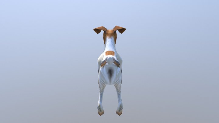 Terrier Low Poly 3D Model