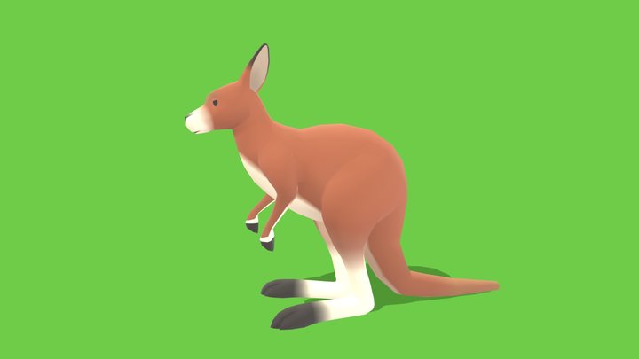 Kangaroo - Animated Low Poly