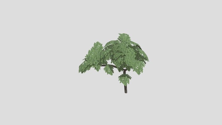Tree 3D Model