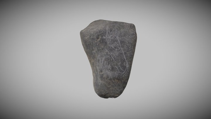 MODELO PLAQUETA 3D Model