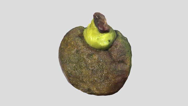 Matcha flavoured donut